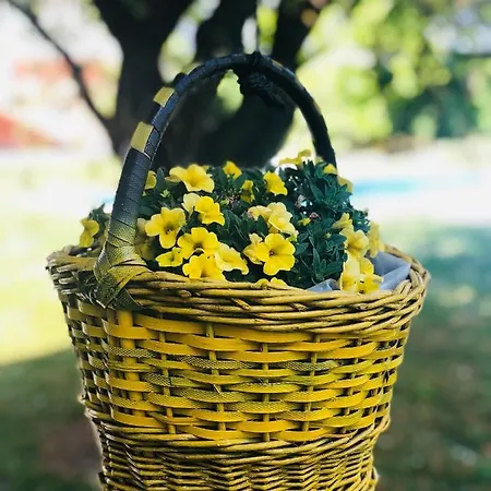 Apartman Medencés Apartman *